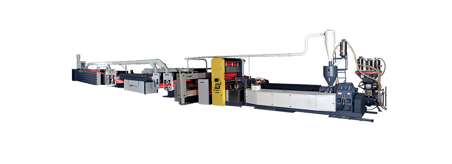 Lohia Tape Plant